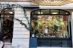 JUNGLE LAB - Déco / Cadeaux / Fleuristes Reims